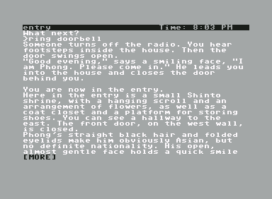 The Witness screenshot 2 for Commodore 64